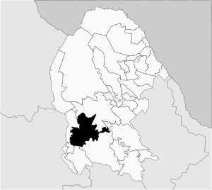 San Pedro en Coahuila.svg