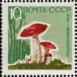 The Soviet Union 1964 CPA 3126 stamp (Mushrooms. Red-capped scaber stalk (Leccinum aurantiacum)).jpg