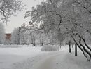 Kolpino SPb January2010 813.jpg