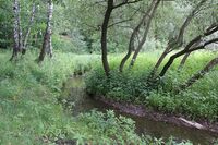 Ochakovka River in Tyoply Stan Landscape Zakaznik.JPG