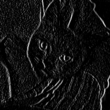 Кот с выделенными границами.png
