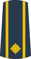 12-Serbian Air Force-MAJ.svg
