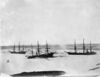 Discovery, Morning and Terra Nova.jpg
