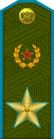 Russia-AirBorne-OF-9-1994-field.svg