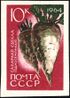 The Soviet Union 1964 CPA 3060 stamp (Agricultural Crops of the USSR. Sugar beet or white beet (Beta vulgaris subsp. vulgaris)).jpg