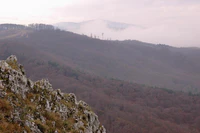 Зейский заповедник.jpg