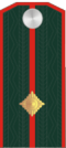 Поручик РОА.png