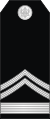 09-Montenegro Navy-CWO.svg