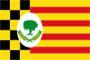 Флаг