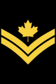 CDN-Navy-MS.svg