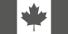 Air Command Fin Flash
