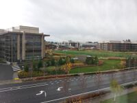 Good morning from Redmond.jpg