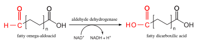 Omega-oxidation 3.svg