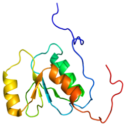 Представлено на основе PDB 2EBU.