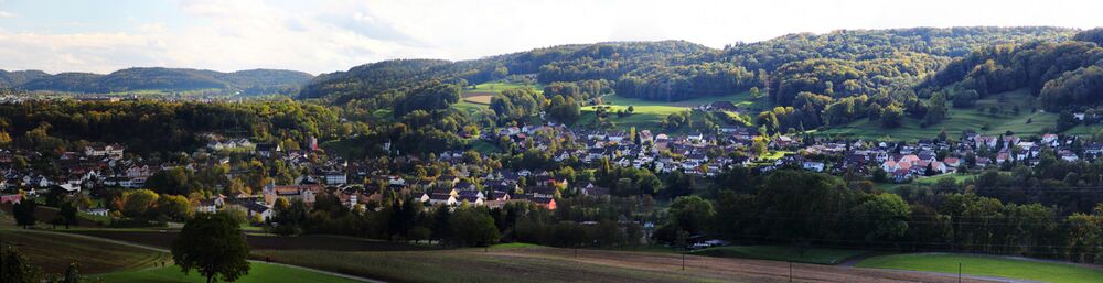 Панорама Рорбаса