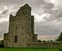 Termonfekin Castle.jpg