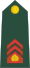03-Slovenian Army-MCP.svg