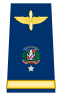 Capona general de brigada fuerza aerea.svg