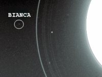 Inset-ura bianca-large.gif