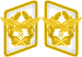 Luftwaffe collar tabs Generalfeldmarschall 3D.svg