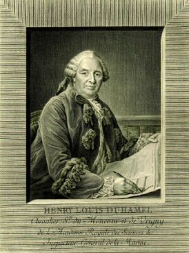 Moitte Pierre Etienne - Henry Louis Duhamel.jpg