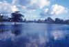 Pantanal.jpg