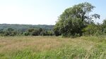 Riddlesdown pasture area 2.JPG