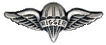 Parachute Rigger Badge