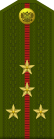 Russia-Army-OF-2-1994-field.svg