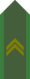 SWE-Army-OFSa.png