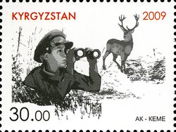 Stamps of Kyrgyzstan, 2009-582.jpg