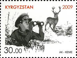 Stamps of Kyrgyzstan, 2009-582.jpg