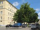 Винокурцевский сквер.jpg