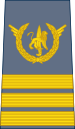 05-ROCongo Air Force-CSG.svg