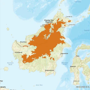 BayCat distribution.jpg