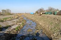 Kiziyarsky stream (Melitopol, Zaporizhia Oblast, Ukraine) 09.JPG