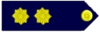 Latvian Police Lieutenant Colonel Rank.png