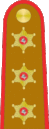 Lithuania Army OF-8 - service dress (1936-1940).gif