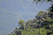 Mount Vumba (6555288481).jpg