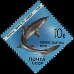 Stamp Soviet Union 1991 CPA 6281black.jpg