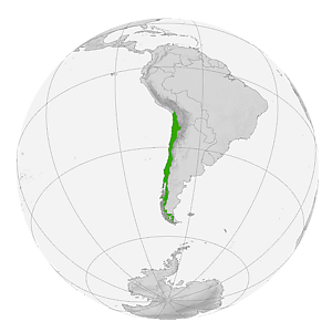 Чили на карте мира