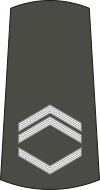 05-Serbian Army-SSG.svg