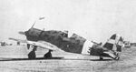 FIAT G.50.jpg