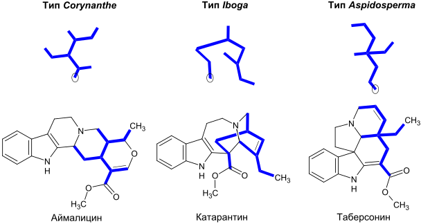 Monoterpenoid indole alkaloids 1 ru.svg