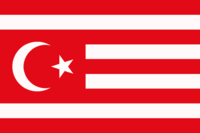Variant flag of the Turkestan.png