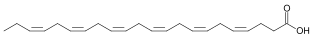 4,7,10,13,16,19-docosahexaenoic acid.svg
