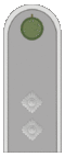 Belarus BKA 1944 parade - serzhant.gif
