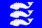Flag of Vasilevsky (St Petersburg).png