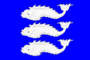 Flag of Vasilevsky (St Petersburg).png