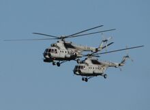 Mi-171Sh Karlovac 2009.jpg